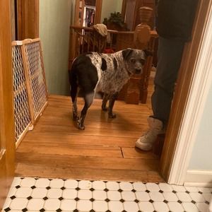 Meet your Posher, Crystal ann